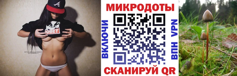 купить закладку  Кущёвская  Псилоцибиновые грибы ЛСД 